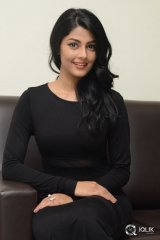 Anisha Ambrose at Run Movie Release Press Meet